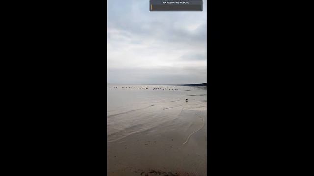 Есть вопросы смотреть онлайн