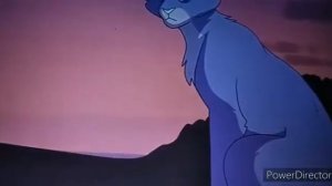 Топ 5 лучших предводителей в котах воителях
