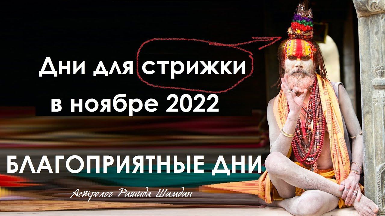 Дни для стрижки в ноябре 2022 Благоприятные дни стрижка