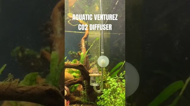 AQUATIC VENTUREZ CO2 DIFFUSER