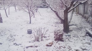 будем играть в бешеные сервера в mini World