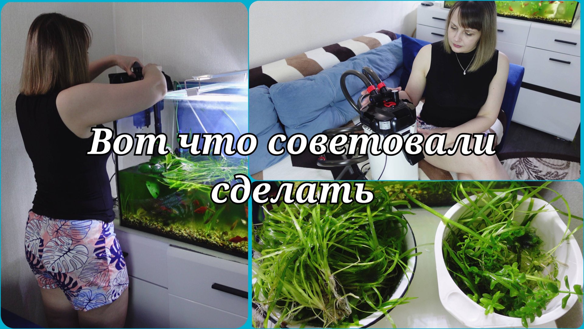 ДОМАШНИЙ АКВАРИУМ 🐠 СОДЕРЖАНИЕ АКВАРИУМА 🐠 ФИЛЬТР ДЛЯ АКВАРИУМА смотреть онлайн