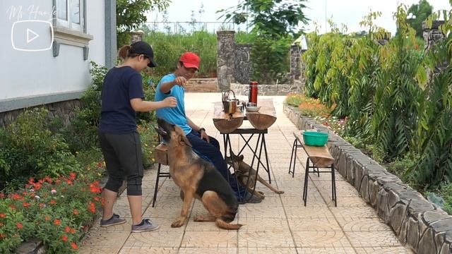 How I enjoy morning coffee and tea at home - A happy rural life - Ms HaoLe смотреть онлайн