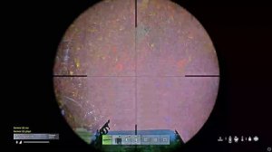 #pvp #dayz #paradise