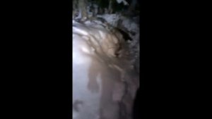 ОХОТА НА КАБАНА