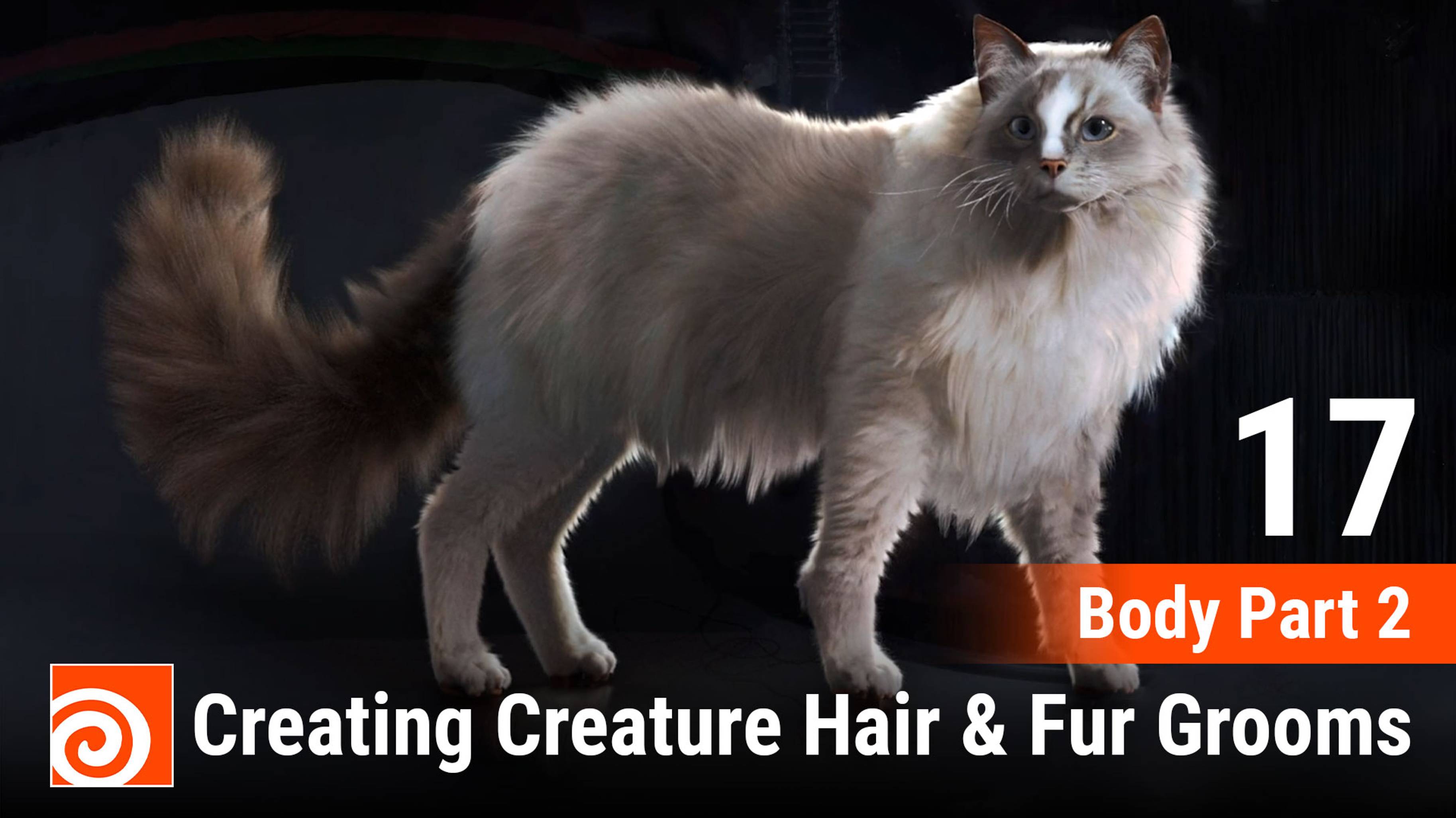 Creating Creature Hair & Fur Grooms in Houdini
17 Body Part 2