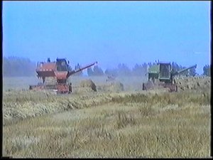 Уборка урожая 1 Поспелиха 2000г
