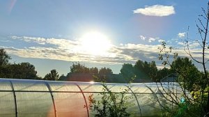 Группа "ArGo" г.Йошкар-Ола - "14 июля 2024 Часть-2"