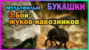 | Мультфильм | БУКАШКИ | 3.Бой жуков-навозников |