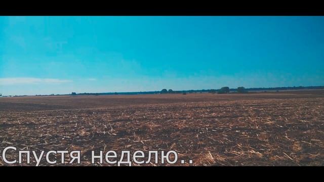 Пираты киевских полей [+18] / Добираем клад серебра / Коп с Квазар АРМ #клад #копUA смотреть онлайн