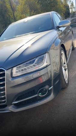 Какая Audi S8 вам нравится больше?