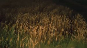 Колхозная. Татьяна Перепелкина (Лютикова) (гр.Белый день)