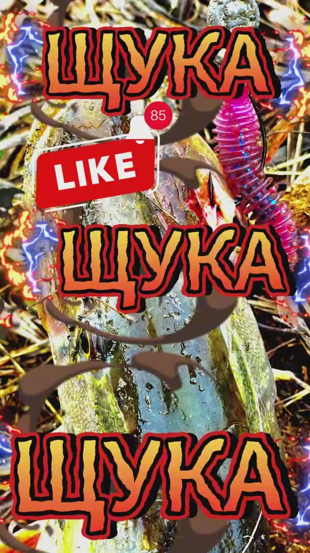  Первые щуки 2025 года! 