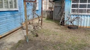 1,2,3  марта 2024/переезд на юг