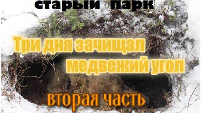 ТРИ ДНЯ ЗАЧИЩАЛ МЕДВЕЖИЙ УГОЛ. Часть вторая смотреть онлайн