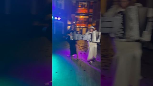Невеста играет на баяне #свадьба #ведущаямосква #wedding #ведущийпраздников