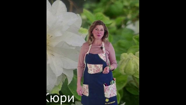 Питомник. Обзор. Как мы укрывали розы, гортензии и клематисы на зиму. смотреть онлайн