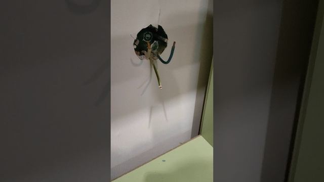 Варочная панель. Не работает конфорка. Неправильное подключение смотреть онлайн