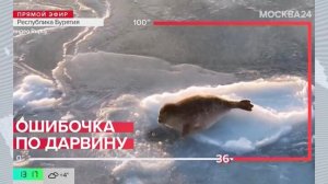 Новости регионов: на Байкале перепутали нерп с рыбаками