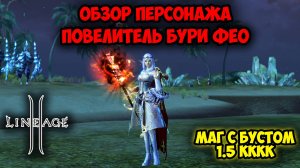 Обзор БЮДЖЕТНОГО Мага. Повелитель Бури с Бустом на 1.5кккк. Тест Локаций в Lineage 2. Main Ruoff.