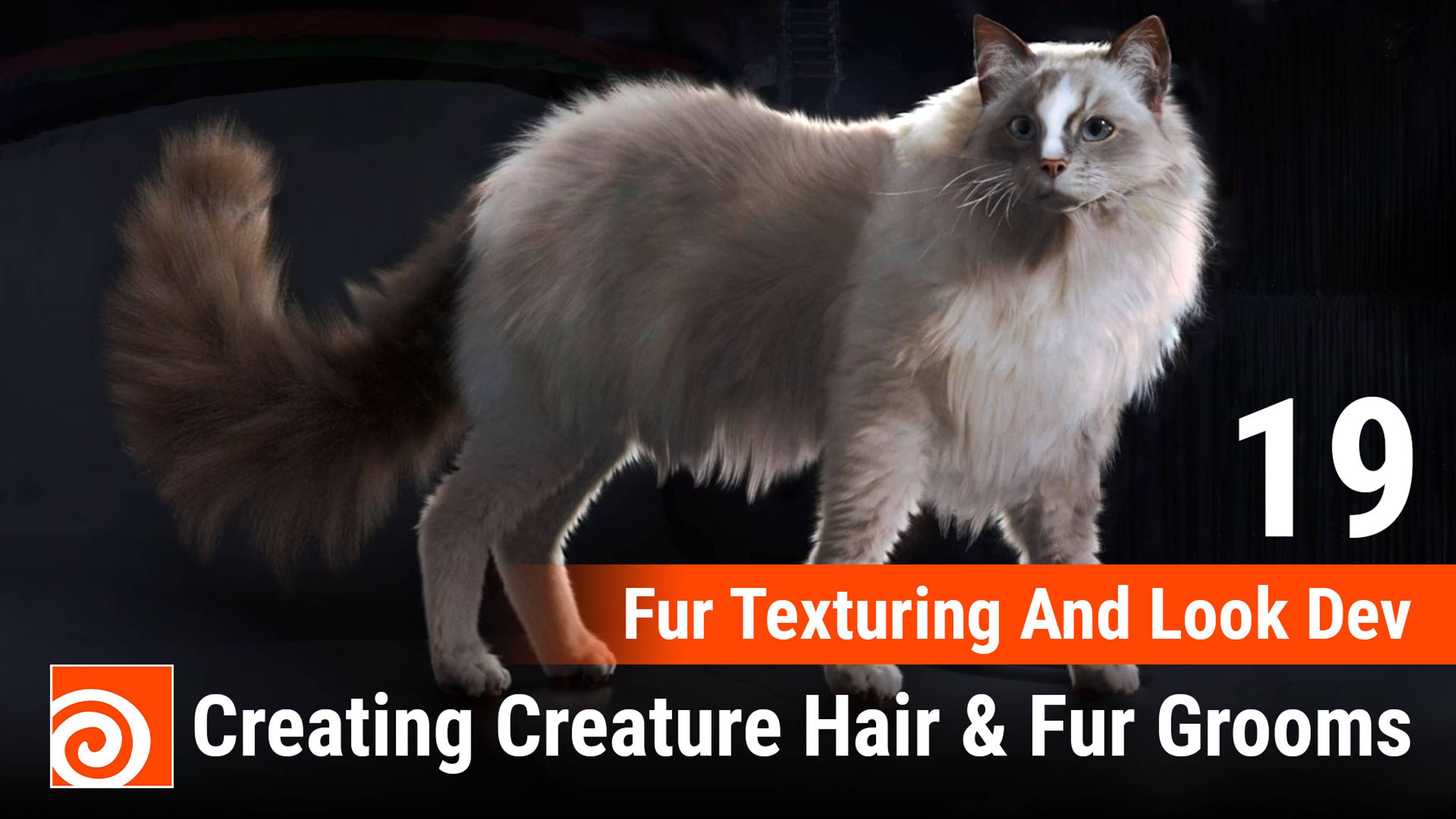 Creating Creature Hair & Fur Grooms in Houdini
19 Fur Texturing And Look Dev