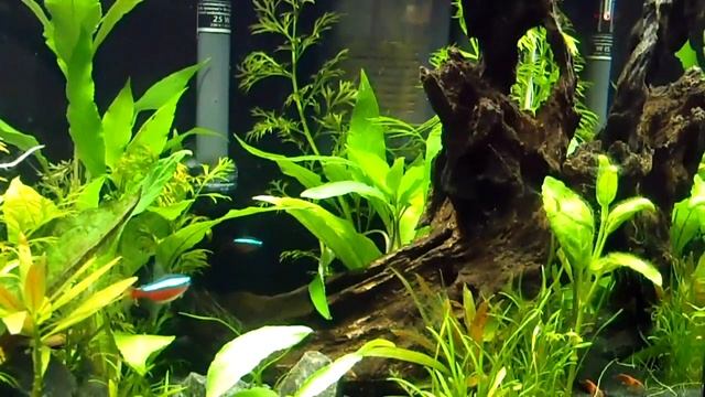 nanocube 30 смотреть онлайн