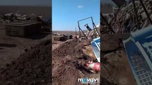 Полина Гагарина Кукушка