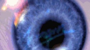 Virgin Interactive logo (1996)