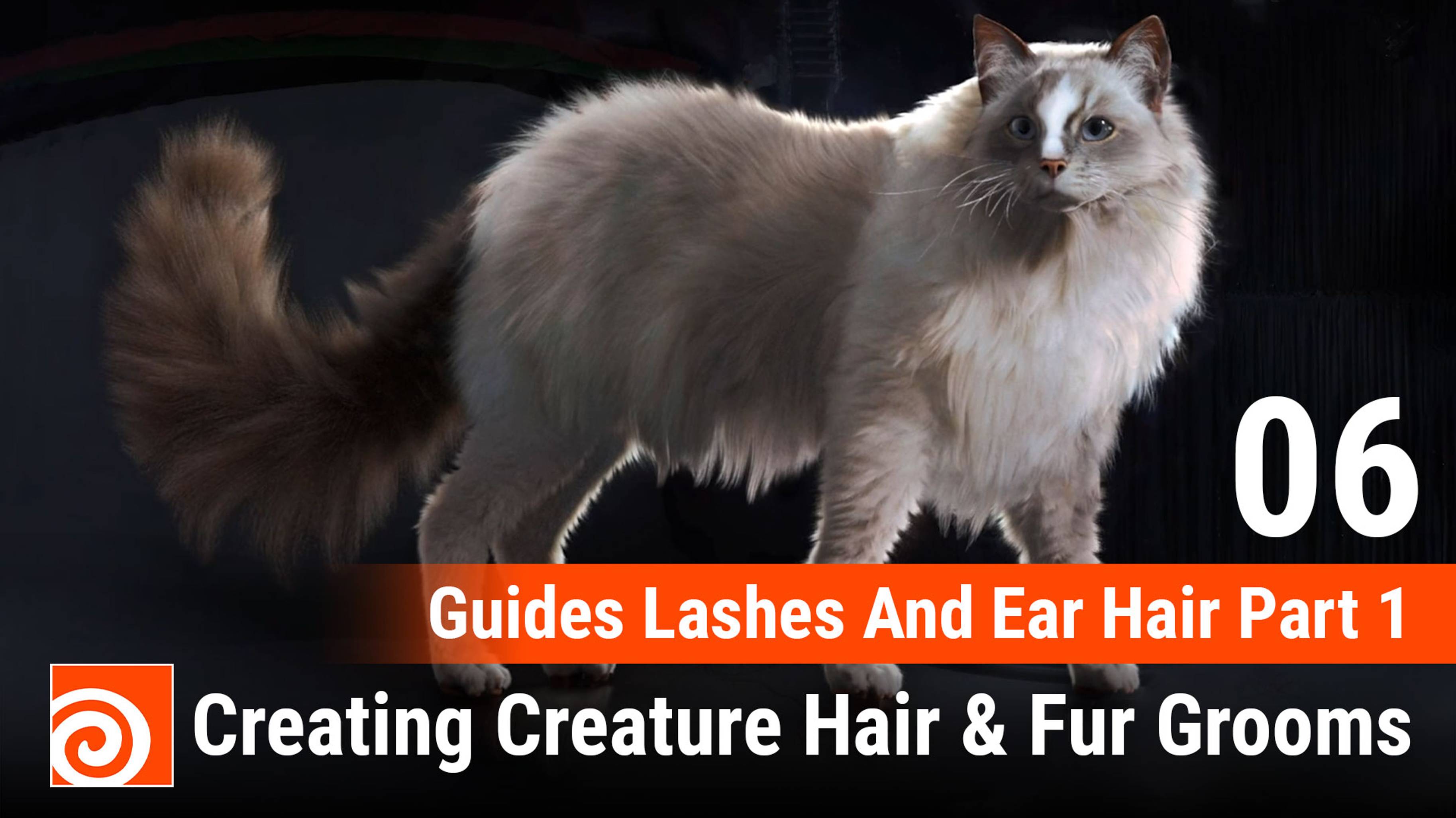 Creating Creature Hair & Fur Grooms in Houdini
06 Guides Lashes And Ear Hair Part 1