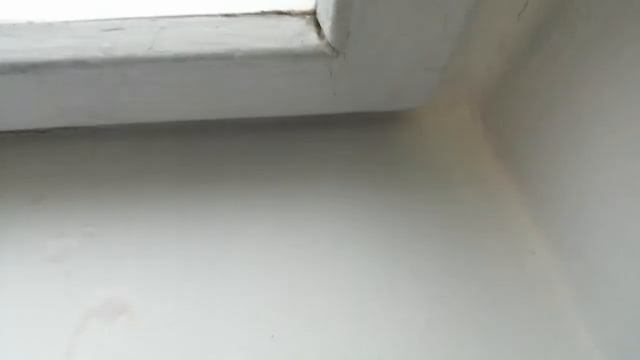 Обзор на морс!!! смотреть онлайн