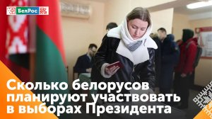 Статистика: 85,5% белорусов планируют принять участие в выборах Президента