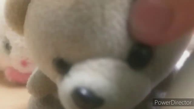 Мемные Зайчики