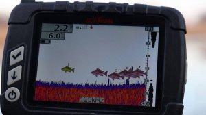 Это всё сазан, рыба в яме, рыбалка 2025 на флэт фидер