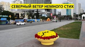 Вьетнам Нячанг погода сегодня 17 января 2025 года ❤️ Пасмурный день:: уютная свежесть января 🌫️❄️