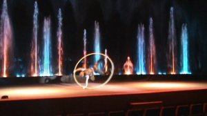 Cyr Wheel