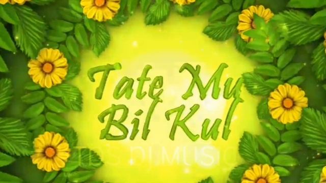 odia prama kumari mashup | remix video {TDS DJ MUSIC} #youtube #youtubevideo#mashupsong смотреть онлайн