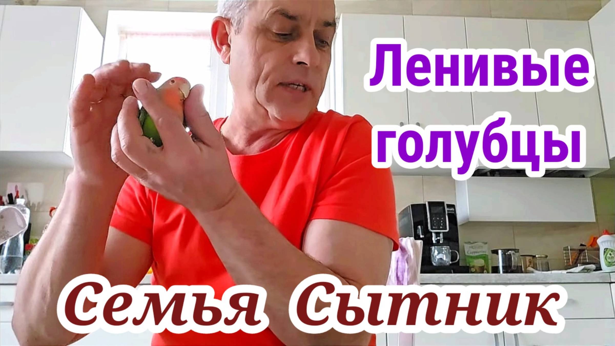 Семья Сытник- Ленивые голубцы