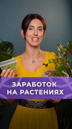 Как ЛЕГКО заработать на комнатных растениях？