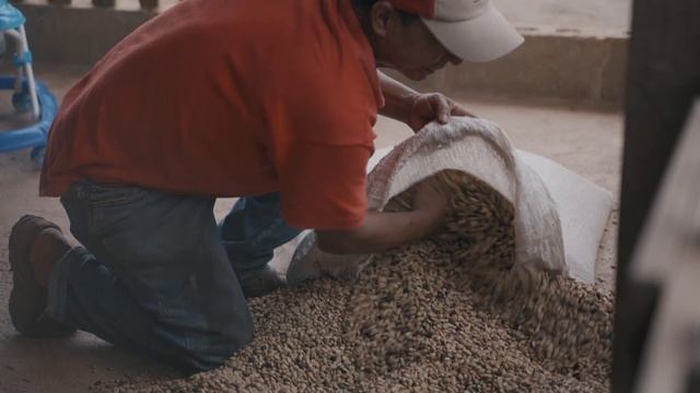 Clean Water and Coffee Farmers смотреть онлайн