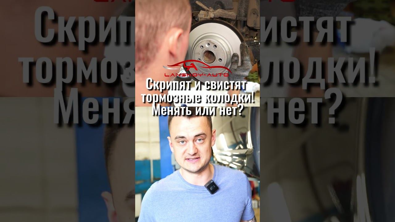 Скрип и свист тормозных колодок. Менять или нет? #колодки #диски #тормоза #lanskoyauto