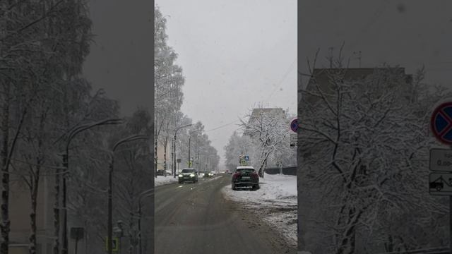 На автомобиле по городу. (ул. Фаворского, Санкт-Петербург)