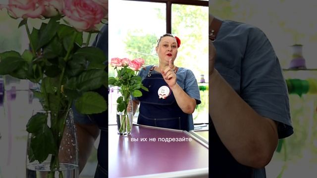 Совет от Тёти Розы