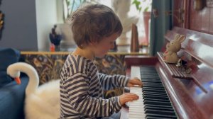 Вспомнил о "Лебедином озере"