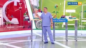 Доктор Мясников и его советы ( про отказ алкоголя)