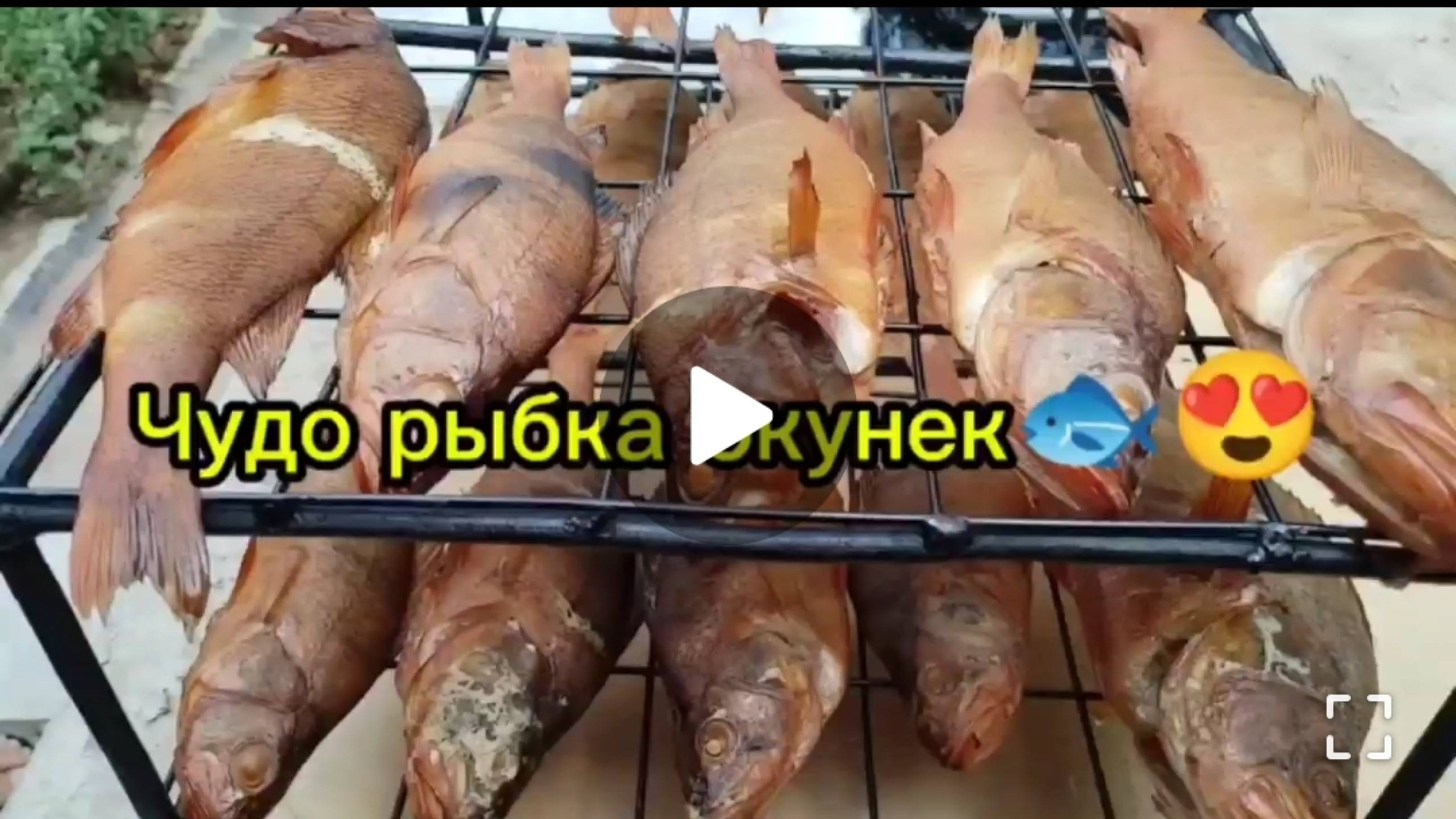 Окунь горячего копчения.Астрахань.