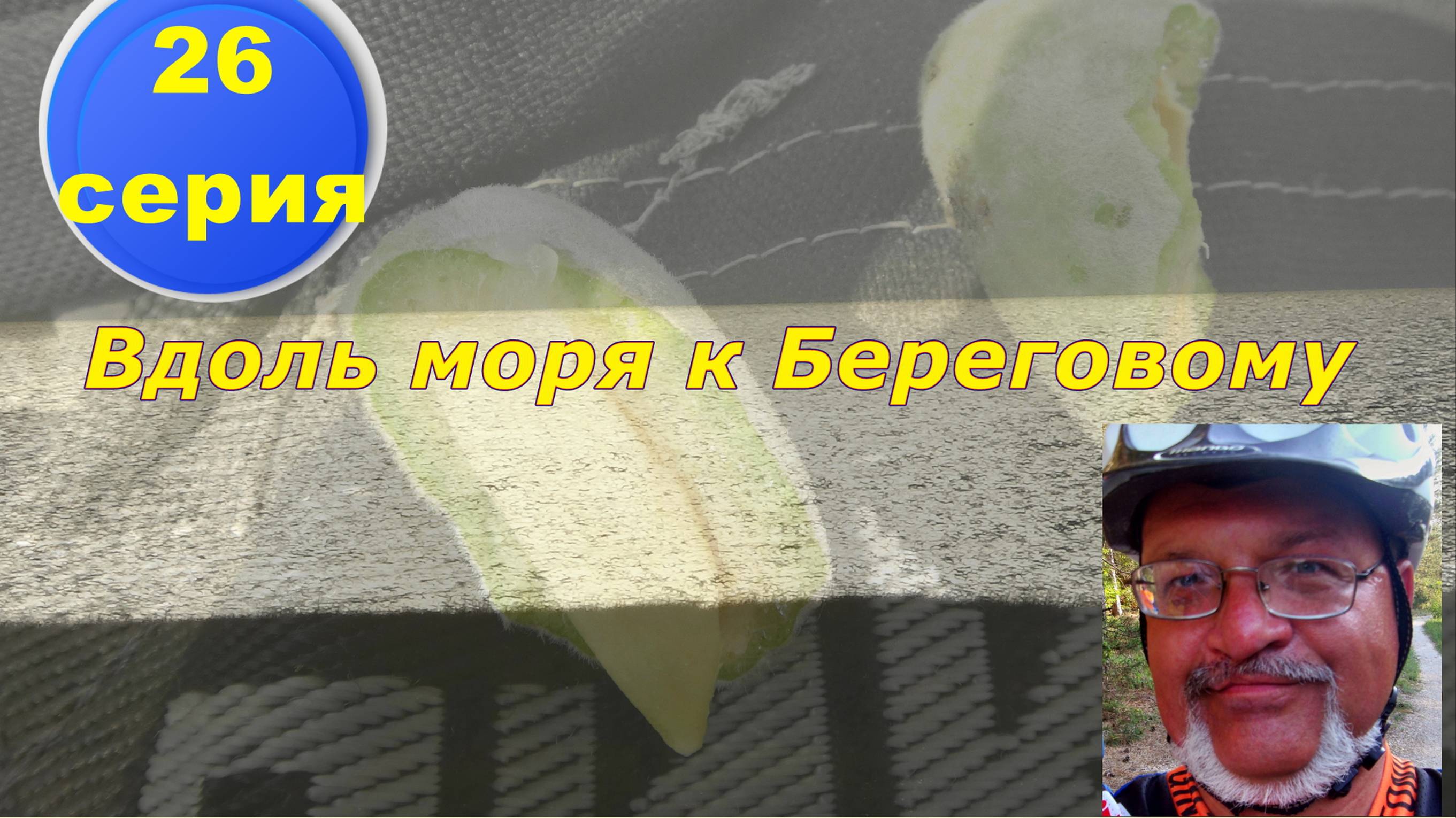 №108. Вело-путь от Николаевки к Береговому по берегу Чёрного моря, 26 серия вело-круго-крымки.