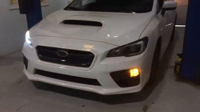 2017 Subaru WRX Diode Dynamics C Lights + Black Out