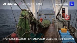 Промысел в Азово-Черноморском бассейне не ограничат