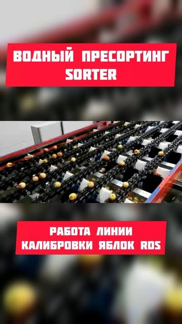 Водный пресортинг. Линия калибровки яблок RDS