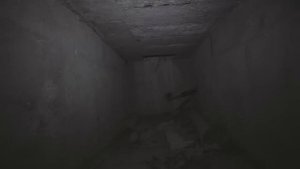 Заброшенная болгаро-советская дружба